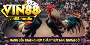 Mang đến trải nghiệm chân thực như ngoài đời